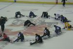 07_-_dion_leads_stretch_crop_150x100