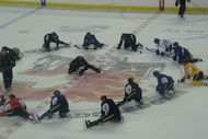 07_-_dion_leads_stretch_crop_190x127