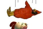 Cardinalfalling_crop_150x100