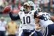 Rams_medium