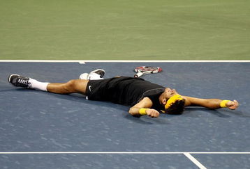 NEW YORK - SEPTEMBER 14:  Juan Martin Del Potro of Argentina celebrates championship point after defeating Roger Federer of Switzerland in the Men's Singles final on day fifteen of the 2009 U.S. Open at the USTA Billie Jean King National Tennis Center on September 14, 2009 in the Flushing neighborhood of the Queens borough of New York City. Del Potro defeated Federer 3-6, 7-6 (7), 4-6, 7-6 (7), 6-2.  (Photo by Nick Laham/Getty Images)