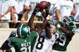 Kamara_msu_more_feature