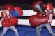 Boxing2_medium