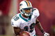 TAMPA, FL - AUGUST 27: Receiver Ted Ginn, Jr. #19 of the Miami Dolphins runs the ball on a kick off against the Tampa Bay Buccaneers during a preseason game at Raymond James Stadium on August 27, 2009 in Tampa, Florida. (Photo by J. Meric/Getty Images)