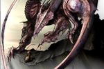 Dragon-spider_crop_150x100