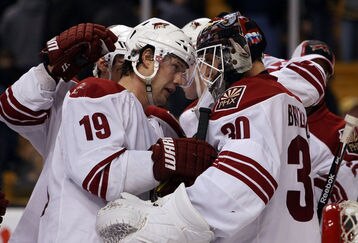 Coyotes_feature