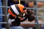BALTIMORE - SEPTEMBER 27:  A fan of the Baltimore Ravens hangs a Clevelan Browns doll during the game against the Cleveland Browns at M&T Bank Stadium on September 27, 2009 in Baltimore, Maryland. The Ravens defeated the Browns 34-3. (Photo by Larry French/Getty Images)