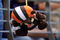 BALTIMORE - SEPTEMBER 27:  A fan of the Baltimore Ravens hangs a Clevelan Browns doll during the game against the Cleveland Browns at M&T Bank Stadium on September 27, 2009 in Baltimore, Maryland. The Ravens defeated the Browns 34-3. (Photo by Larry French/Getty Images)