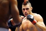 Boxing_stance_more_feature