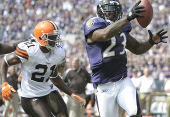 Bowns_ravens_cropped
