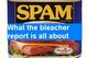 Spambleacherreport_medium
