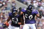 BALTIMORE - SEPTEMBER 27:  Brendon Ayanbadejo #51 of the Baltimore Ravens celebrates his interception against the Cleveland Browns at M&T Bank Stadium on September 27, 2009 in Baltimore, Maryland. The Ravens defeated the Browns 34-3. (Photo by Larry French/Getty Images)