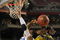 GLENDALE, AZ - MARCH 26:  Guard J.T. Tiller #4 of the Missouri Tigers blocks a shot by guard Roburt Sallie #3 of the Memphis Tigers in the Sweet 16 of the NCAA Division I Men's Basketball Tournament at the University of Phoenix Stadium on March 26, 2009 in Glendale, Arizona.  (Photo by Ronald Martinez/Getty Images)