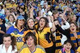 SYDNEY, AUSTRALIA - SEPTEMBER 28: Eels supporters  cheer as they watch on during a Parramatta Eels NRL training session at Parramatta Stadium on September 28, 2009 in Sydney, Australia.  (Photo by Mark Kolbe/Getty Images)