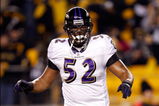 PITTSBURGH - JANUARY 18:  Ray Lewis #52 of the Baltimore Ravens warms up against the Pittsburgh Steelers during the AFC Championship game on January 18, 2009 at Heinz Field in Pittsburgh, Pennsylvania.  (Photo by Streeter Lecka/Getty Images)