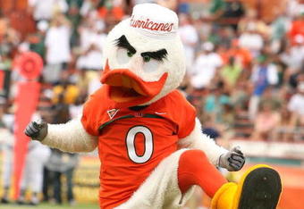 CORAL GABLES, FL - OCTOBER 13:  Sebastian the Ibis performs as the Miami Hurricanes take on the Georgia Tech Yellow Jacketsat the Orange Bowl on October 13, 2007 in Coral Gables, Florida. Georgia Tech defeated Miami 17-14.  (Photo by Doug Benc/Getty Images)