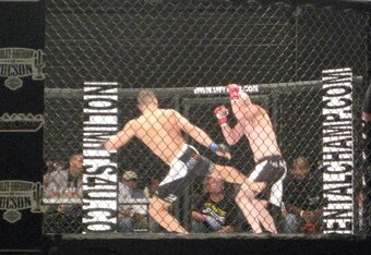 Img_1389_crop_340x234