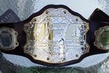 Belt_more_feature