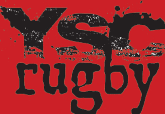 Ysc_logotwitter_crop_340x234