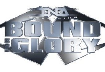 Bfg_crop_340x234