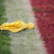 MIAMI GARDENS, FL - JANUARY 3:  A penalty flag lies on the field during the Fed Ex Orange Bowl  between the Florida State Seminoles and the Penn State Nittany Lions at Dolphins Stadium on January 3, 2005 in Miami Gardens, Florida. The Lions won 26-23 in triple overtime. (Photo by Scott Halleran/Getty Images)