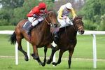 720px-horse-racing-4_crop_150x100