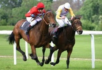 720px-horse-racing-4_crop_340x234