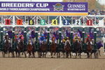 ARLINGTON HEIGHTS, IL - OCTOBER 26:  Horses break out of the starting gate of the Breeders' Cup Distaff race, won by number 4 horse Azeri, during the 2002 Breeders' Cup World Thoroughbred Championships at Arlington Park on October 26, 2002 in the Chicago suburb of Arlington Heights, Illinois.  The victory for Azeri strengthens the chestnut filly's position for horse of the year honors.  (Photo by Jonathan Daniel/Getty Images)