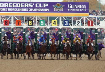 ARLINGTON HEIGHTS, IL - OCTOBER 26:  Horses break out of the starting gate of the Breeders' Cup Distaff race, won by number 4 horse Azeri, during the 2002 Breeders' Cup World Thoroughbred Championships at Arlington Park on October 26, 2002 in the Chicago suburb of Arlington Heights, Illinois.  The victory for Azeri strengthens the chestnut filly's position for horse of the year honors.  (Photo by Jonathan Daniel/Getty Images)