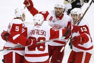 Red-wings_players_crop_190x127