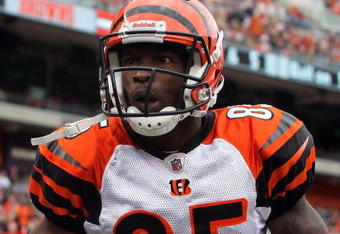 CLEVELAND - OCTOBER 04:  Chad Ochocinco #85 of the Cincinnati Bengals looks on against the Cleveland Browns during their game at Cleveland Browns Stadium on October 4, 2009 in Cleveland, Ohio.  (Photo by Jim McIsaac/Getty Images)