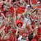 TAMPA, FL - JANUARY 1: Fans of the Wisconsin Badgers cheer play against the Tennessee Volunteers in the 2008 Outback Bowl at Raymond James Stadium on January 1, 2008 in Tampa, Florida. The Volunteers won 21 - 17. (Photo by Al Messerschmidt/Getty Images) *** Local Caption ***