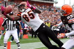 CLEVELAND - OCTOBER 04:  Chad Ochocinco #85 of the Cincinnati Bengals hauls in a one handed catch for a first quatrer touchdown against Eric Wright #24 of the Cleveland Browns during their game at Cleveland Browns Stadium on October 4, 2009 in Cleveland, Ohio.  (Photo by Jim McIsaac/Getty Images)