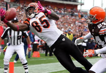 CLEVELAND - OCTOBER 04:  Chad Ochocinco #85 of the Cincinnati Bengals hauls in a one handed catch for a first quatrer touchdown against Eric Wright #24 of the Cleveland Browns during their game at Cleveland Browns Stadium on October 4, 2009 in Cleveland, Ohio.  (Photo by Jim McIsaac/Getty Images)