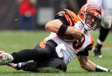 CLEVELAND - OCTOBER 04:  Carson Palmer #9 of the Cincinnati Bengals in action against the Cleveland Browns during their game at Cleveland Browns Stadium on October 4, 2009 in Cleveland, Ohio. The Bengals defeated the Browns 23-20 in overtime.  (Photo by Jim McIsaac/Getty Images)