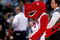 20 Nov 2000: A view of the Toronto Raptors mascot as he walks on the court during the game against the Charlotte Hornets at the Air Canada Centre in Toronto, Ontario, Canada. The Hornets defeated the Raptors 100-64.  NOTE TO USER: It is expressly understood that the only rights Allsport are offering to license in this Photograph are one-time, non-exclusive editorial rights. No advertising or commercial uses of any kind may be made of Allsport photos. User acknowledges that it is aware that Allsport is an editorial sports agency and that NO RELEASES OF ANY TYPE ARE OBTAINED from the subjects contained in the photographs.Mandatory Credit: Robert Skeoch  /Allsport