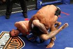 Cerrone_vs_henderson_1_crop_150x100