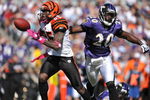 BALTIMORE - OCTOBER 11:  Chad Ochocinco #85 of the Cincinnati Bengals fumbles the ball after a catch against the Baltimore Ravens at M&T Bank Stadium on October 11, 2009 in Baltimore, Maryland. The Bengals defeated the Ravens 17-14. (Photo by Larry French/Getty Images)