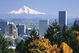 Portland_hood_medium