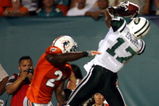 MIAMI - OCTOBER 12:  Receiver Braylon Edwards #17 of the New York Jets catches a pass against the Miami Dolphins at Land Shark Stadium on October 12, 2009 in Miami, Florida.  (Photo by Marc Serota/Getty Images)