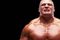 Brock-lesnar_small