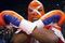 Bernard-hopkins1_small