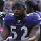 BALTIMORE - OCTOBER 11:  Ray Lewis #52 of the Baltimore Ravens meditates on the bench before the game against the Cincinnati Bengals at M&T Bank Stadium on October 11, 2009 in Baltimore, Maryland. The Bengals defeated the Ravens 17-14. (Photo by Larry French/Getty Images)