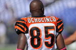BALTIMORE - OCTOBER 11:  Chad Ochocinco #85 of the Cincinnati Bengals warms up before the game against the Baltimore Ravens at M&T Bank Stadium on October 11, 2009 in Baltimore, Maryland. The Bengals defeated the Ravens 17-14. (Photo by Larry French/Getty Images)