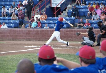 Amarillo_dillas_action_shot_crop_340x234