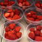 ASCOT, ENGLAND - JUNE 16:  Bowls of strawberries await customers on the 1st Day of The Royal Meeting at Ascot Racecourse on June 16, 2009 in Ascot, England.  (Photo by Julian Herbert/Getty Images)