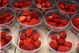 ASCOT, ENGLAND - JUNE 16:  Bowls of strawberries await customers on the 1st Day of The Royal Meeting at Ascot Racecourse on June 16, 2009 in Ascot, England.  (Photo by Julian Herbert/Getty Images)