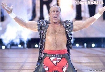 Wallpaper-of-shawn-michaels-500_crop_340x234