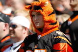 CINCINNATI, OH - OCTOBER 18: A Bengals fan stands in disbelief after the Texans score a touchdown during the game between the Cincinnati Bengals against the Houston Texans at Paul Brown Stadium on October 18, 2009 in Cincinnati, Ohio. The Texans defeated the Bengals 28-17. (Photo by Scott Boehm/Getty Images)