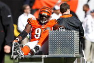 CINCINNATI, OH - OCTOBER 18: Defensive end Antwan Odem #98 of the Cincinnati Bengals is taken off the field on a cart after an injury against the Houston Texans at Paul Brown Stadium on October 18, 2009 in Cincinnati, Ohio. (Photo by Scott Boehm/Getty Images)